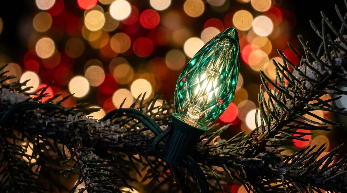 Led bulb on tree branch